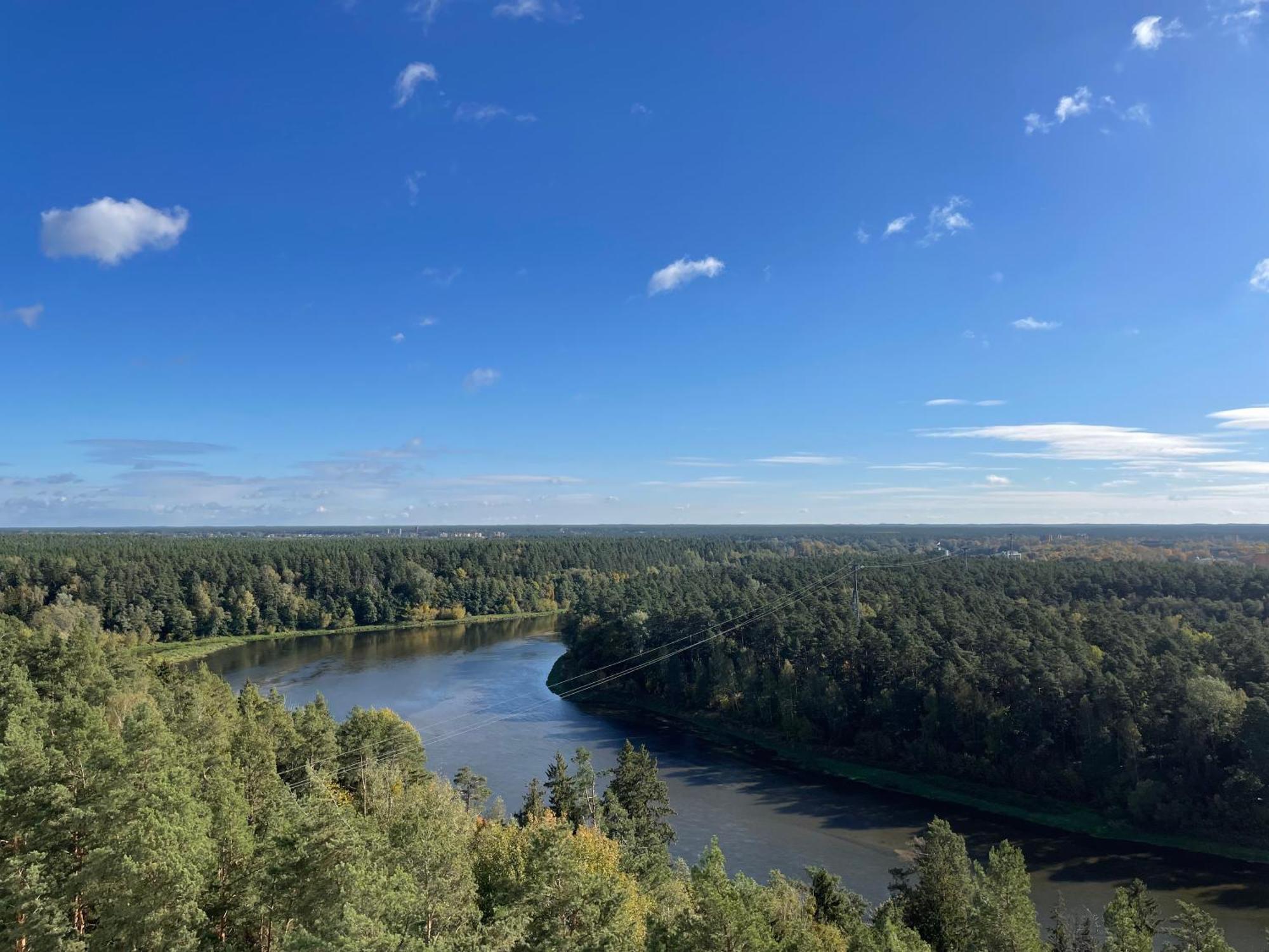 Forest Studio Druskininkai Esterno foto